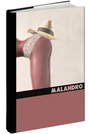 Malandro - Roman aus Brasilien